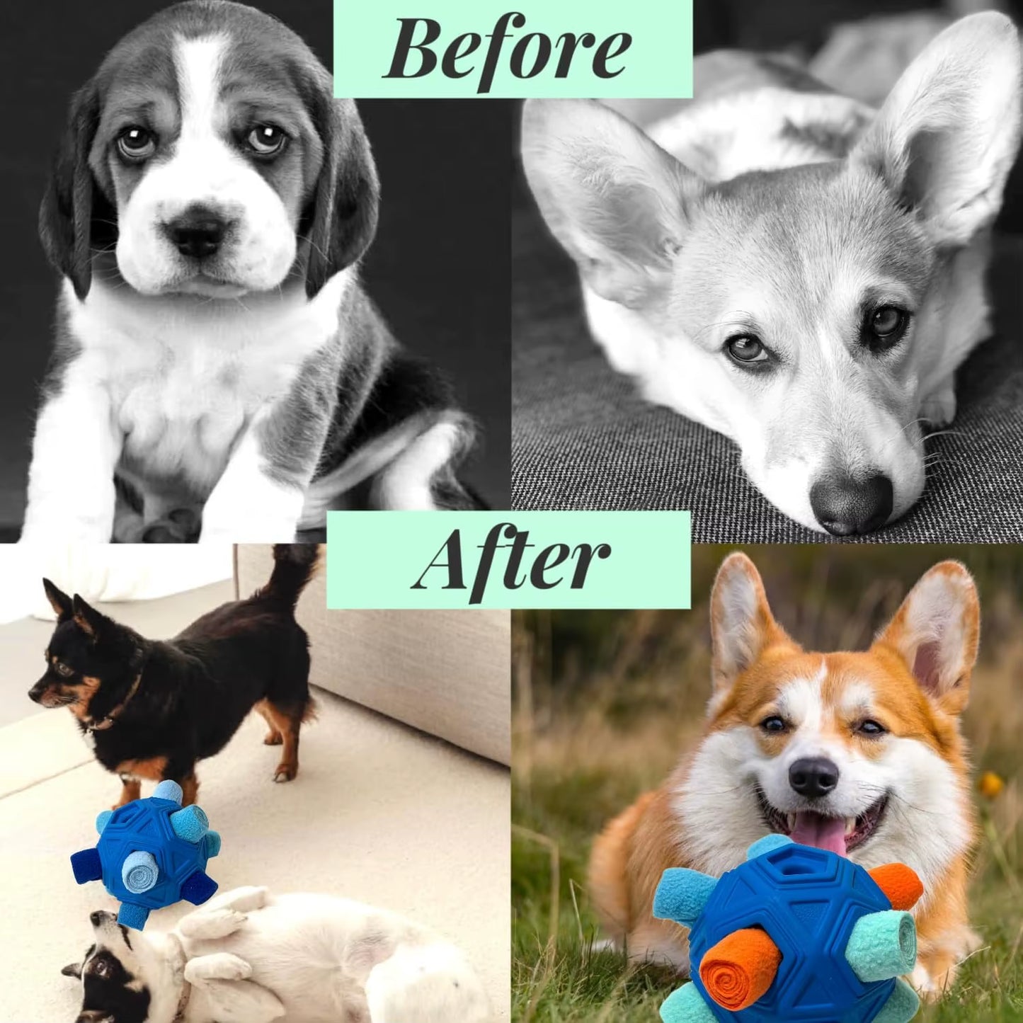 Upgrade Your Dog's Playtime with the Unbreakable Snuffle Ball - Interactive Foraging Toy for Treats and Slow Feeding