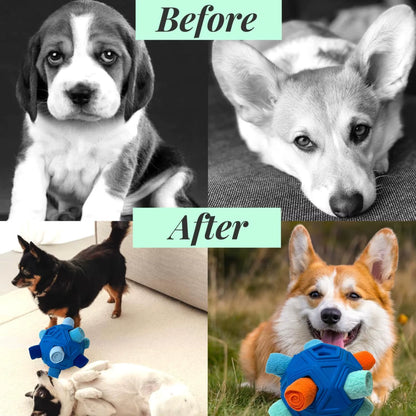 Upgrade Your Dog's Playtime with the Unbreakable Snuffle Ball - Interactive Foraging Toy for Treats and Slow Feeding